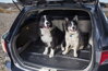 Alfa Romeo 159 Sedan 2005-2011 (plná rezerva) - gumová vanička kufra Frogum