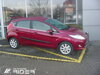 Ochranná lišta dverí - Ford Fiesta 5dv. od r.2008